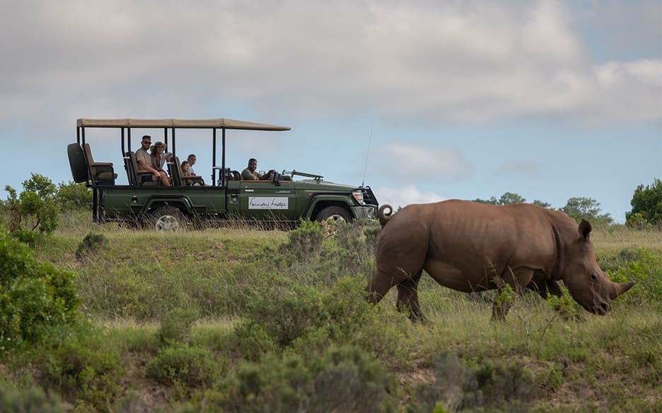 African Bush