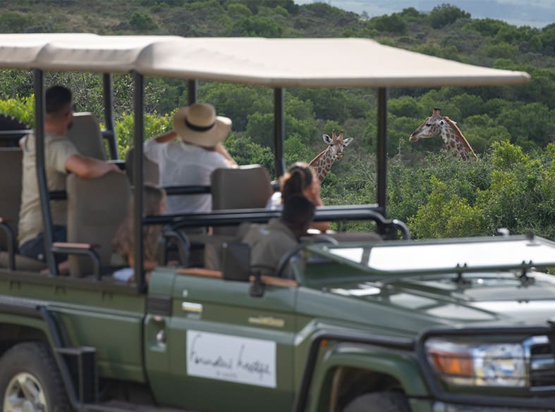 Open-vehicle game drives